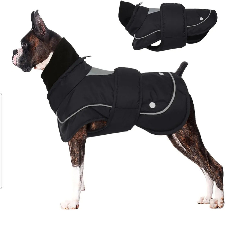Black Dog Winter Coat